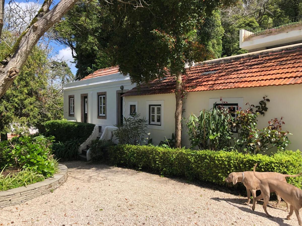 Luxurious Royal Estate In Historic Sintra Paradise Eksteriør bilde